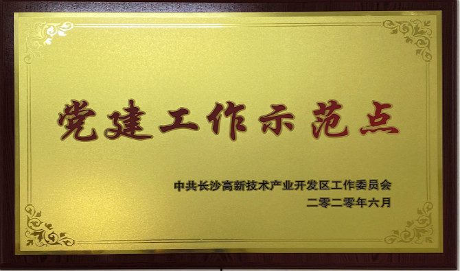 长沙高新区党工委授予中共世搏体育（中国）有限公司委员会“党建工作示范点”“优秀党务工作者”荣誉称号